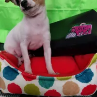 processed/12f10729-97aa-409c-a26a-e54e235636af/facility/22953bd9-5c33-4d00-9a73-0dcdf0d586c1