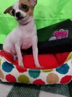 processed/12f10729-97aa-409c-a26a-e54e235636af/facility/22953bd9-5c33-4d00-9a73-0dcdf0d586c1