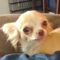 processed/12f10729-97aa-409c-a26a-e54e235636af/facility/75e4a9d0-f6ad-4710-82de-5588319f86bd