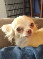 processed/12f10729-97aa-409c-a26a-e54e235636af/facility/75e4a9d0-f6ad-4710-82de-5588319f86bd