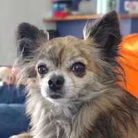 processed/12f10729-97aa-409c-a26a-e54e235636af/facility/851a1626-712a-4718-b8fd-dbf25797f0f5