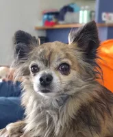 processed/12f10729-97aa-409c-a26a-e54e235636af/facility/851a1626-712a-4718-b8fd-dbf25797f0f5