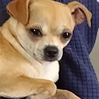 processed/12f10729-97aa-409c-a26a-e54e235636af/facility/bcd9bbe5-c294-4ca3-a8b1-93d333f76b53