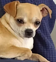 processed/12f10729-97aa-409c-a26a-e54e235636af/facility/bcd9bbe5-c294-4ca3-a8b1-93d333f76b53