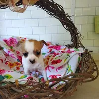 processed/12f10729-97aa-409c-a26a-e54e235636af/facility/cfef9f2d-1770-45fa-bbd0-0940a534019f