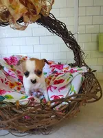 processed/12f10729-97aa-409c-a26a-e54e235636af/facility/cfef9f2d-1770-45fa-bbd0-0940a534019f