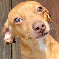 processed/12f10729-97aa-409c-a26a-e54e235636af/facility/e06bfb9a-722f-4230-b263-335b8111f6dc