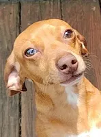 processed/12f10729-97aa-409c-a26a-e54e235636af/facility/e06bfb9a-722f-4230-b263-335b8111f6dc