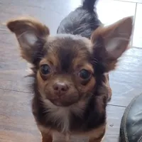 processed/12f10729-97aa-409c-a26a-e54e235636af/facility/ec720826-5b21-4656-ae43-821240417689