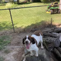 processed/12f2fbfd-cf0f-403e-acfb-fec6a206e667/facility/110cbe33-803c-4612-9670-278bde9dd1a8