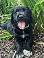 processed/12f2fbfd-cf0f-403e-acfb-fec6a206e667/facility/49dfadcc-80d3-4579-a6ab-aeb1b5280a5b