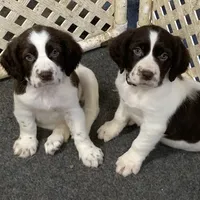 processed/12f2fbfd-cf0f-403e-acfb-fec6a206e667/facility/5c11fc26-f3b7-44b0-95ab-3200d55d0873