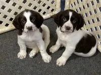 processed/12f2fbfd-cf0f-403e-acfb-fec6a206e667/facility/5c11fc26-f3b7-44b0-95ab-3200d55d0873