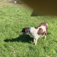 processed/12f2fbfd-cf0f-403e-acfb-fec6a206e667/facility/7c216cab-4a90-4b95-8556-990198eaca60