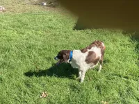 processed/12f2fbfd-cf0f-403e-acfb-fec6a206e667/facility/7c216cab-4a90-4b95-8556-990198eaca60