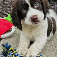 processed/12f2fbfd-cf0f-403e-acfb-fec6a206e667/facility/9fb9b5a3-8c66-4f3b-acec-027ccd571802