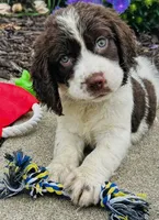 processed/12f2fbfd-cf0f-403e-acfb-fec6a206e667/facility/9fb9b5a3-8c66-4f3b-acec-027ccd571802