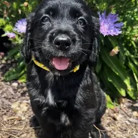 processed/12f2fbfd-cf0f-403e-acfb-fec6a206e667/facility/b0a43c27-c1e6-4ad0-b585-0f9343837cd7