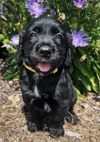 processed/12f2fbfd-cf0f-403e-acfb-fec6a206e667/facility/b0a43c27-c1e6-4ad0-b585-0f9343837cd7