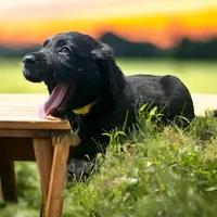 processed/12f2fbfd-cf0f-403e-acfb-fec6a206e667/facility/c3b4bde0-6c6d-4b19-920d-08020e4e4ef7