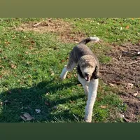 processed/12f2fbfd-cf0f-403e-acfb-fec6a206e667/facility/da5fb6c3-6e5c-4640-8f3e-0d50b2ddd603