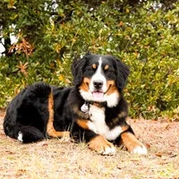 processed/12fb4fb4-f402-49bf-9665-73fc5f13ad28/facility/0b6609e3-8ec2-432a-802d-5227020d6367