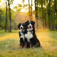 processed/12fb4fb4-f402-49bf-9665-73fc5f13ad28/facility/35907992-2f83-4db6-9cc0-83790d7fcf0e