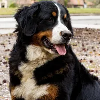 processed/12fb4fb4-f402-49bf-9665-73fc5f13ad28/facility/46616db6-42ee-493e-8988-ac6047e86295