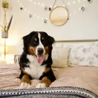 processed/12fb4fb4-f402-49bf-9665-73fc5f13ad28/facility/4a0ba714-12af-4298-9f08-7436026bbbbe