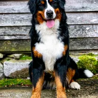 processed/12fb4fb4-f402-49bf-9665-73fc5f13ad28/facility/510ed727-6b77-4d1e-8234-e12d4c0e261a