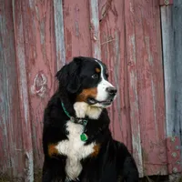 processed/12fb4fb4-f402-49bf-9665-73fc5f13ad28/facility/a7e998aa-fac3-4619-8b62-432b88b30d0b