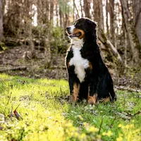 processed/12fb4fb4-f402-49bf-9665-73fc5f13ad28/facility/e1df86ed-d5a5-4045-8d19-1dd60f526498