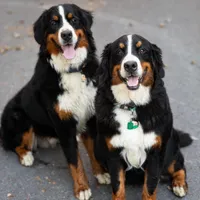 processed/12fb4fb4-f402-49bf-9665-73fc5f13ad28/facility/fa9e2f20-2bf3-4c98-a948-fa93ae172af8