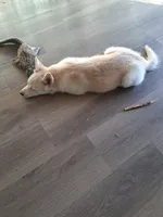 processed/130759da-a397-4b89-866f-46d9dd9672ce/listing/54f4591f-38e6-4e4c-8a9a-a2802916cb4c/34a02f66-6c6f-43d3-9391-f16db0872a9a