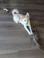 processed/130759da-a397-4b89-866f-46d9dd9672ce/listing/54f4591f-38e6-4e4c-8a9a-a2802916cb4c/34dfd12b-e217-4a55-a7b3-0cbd0fe386af