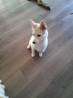 processed/130759da-a397-4b89-866f-46d9dd9672ce/listing/54f4591f-38e6-4e4c-8a9a-a2802916cb4c/c0f38b78-5044-4e1e-8d87-eb44278f4934