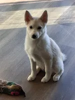 processed/130759da-a397-4b89-866f-46d9dd9672ce/listing/54f4591f-38e6-4e4c-8a9a-a2802916cb4c/d7a7814d-94b7-48e0-8bbe-72c795d7d653