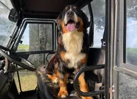 processed/130850cd-2ba4-47ba-a8e1-ad62a9eaa3e6/facility/2f729e73-6f24-40bd-9e0b-4217a6f5947a