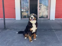 processed/130850cd-2ba4-47ba-a8e1-ad62a9eaa3e6/facility/37d1a561-b333-4cc2-9d12-561d87c41170