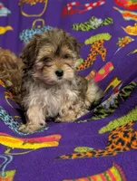 processed/130a247c-3182-4b79-ab03-43e9c0486b8a/listing/256b4d11-c9a3-4981-af60-b572e26a3dfa/42515096-6dd9-4ffc-9a81-1eca805ca457