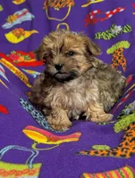 processed/130a247c-3182-4b79-ab03-43e9c0486b8a/listing/c0091863-3c24-4239-97fa-292362d0b18c/09b429fb-b7e9-42af-bcdc-a9819d6aebb4