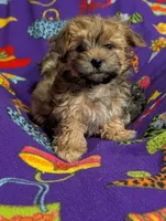 processed/130a247c-3182-4b79-ab03-43e9c0486b8a/listing/c0091863-3c24-4239-97fa-292362d0b18c/ead710bb-21de-447d-a7d3-59a31be0416b