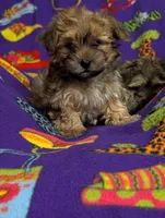 processed/130a247c-3182-4b79-ab03-43e9c0486b8a/listing/c0091863-3c24-4239-97fa-292362d0b18c/f90cb652-f741-4178-a661-90ae91848c5b