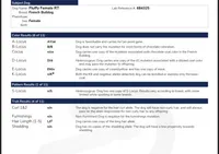 Fendi- Fluffy carrier, a female French Bulldog for sale in Tamarac, FL – Photo 6 of 10