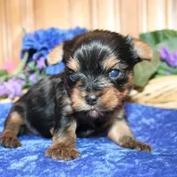 processed/131ff084-6f41-4943-813b-f993abf6c408/facility/19e908c3-c72c-4e60-bc6a-daaec2d8d9b2