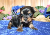 processed/131ff084-6f41-4943-813b-f993abf6c408/facility/19e908c3-c72c-4e60-bc6a-daaec2d8d9b2