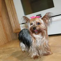 processed/131ff084-6f41-4943-813b-f993abf6c408/facility/3a9c6426-08cb-46c3-a06b-4907633d4f56