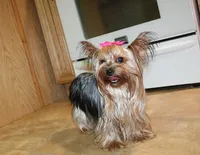 processed/131ff084-6f41-4943-813b-f993abf6c408/facility/3a9c6426-08cb-46c3-a06b-4907633d4f56