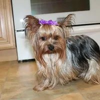 processed/131ff084-6f41-4943-813b-f993abf6c408/facility/921eb0f4-ce92-43ff-9a5d-7f44f80338c2