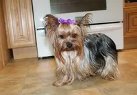 processed/131ff084-6f41-4943-813b-f993abf6c408/facility/921eb0f4-ce92-43ff-9a5d-7f44f80338c2